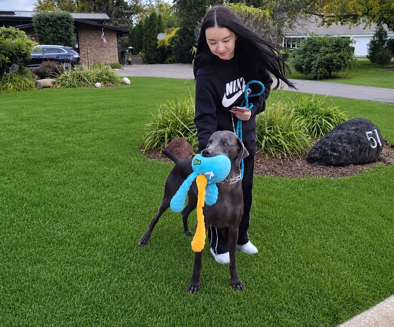 Gloria — Patient & Playful Dog Walker at Leash Adventures Dog Walking & Pet Sitting