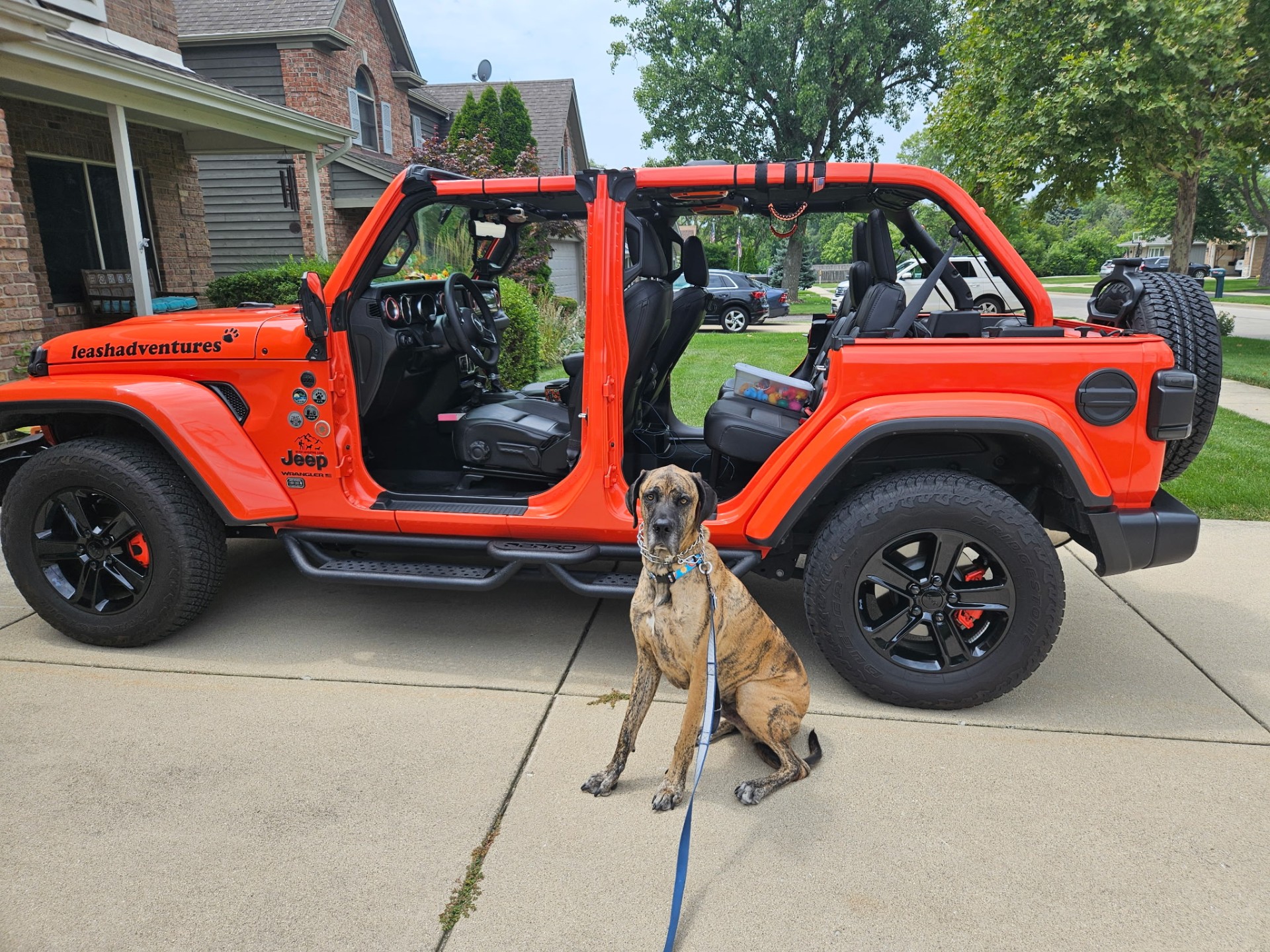 Great Dane next to the Leash Adventures Jeep in Elmhurst, IL